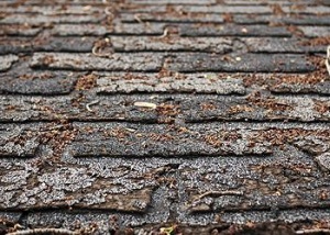 Pritchett Roofing Images