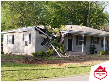 4 Things to Do When a Tree Falls on Your Roof