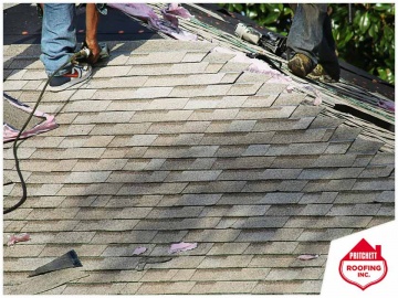 Normal Roof Aging vs. Real Roof Damage